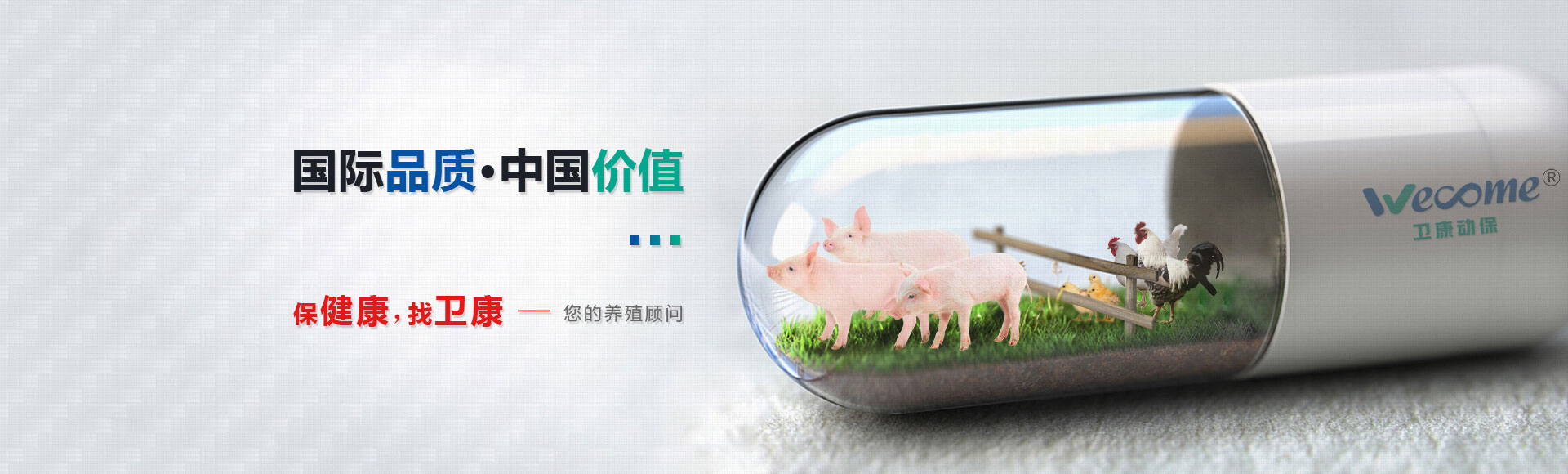產(chǎn)品展示
